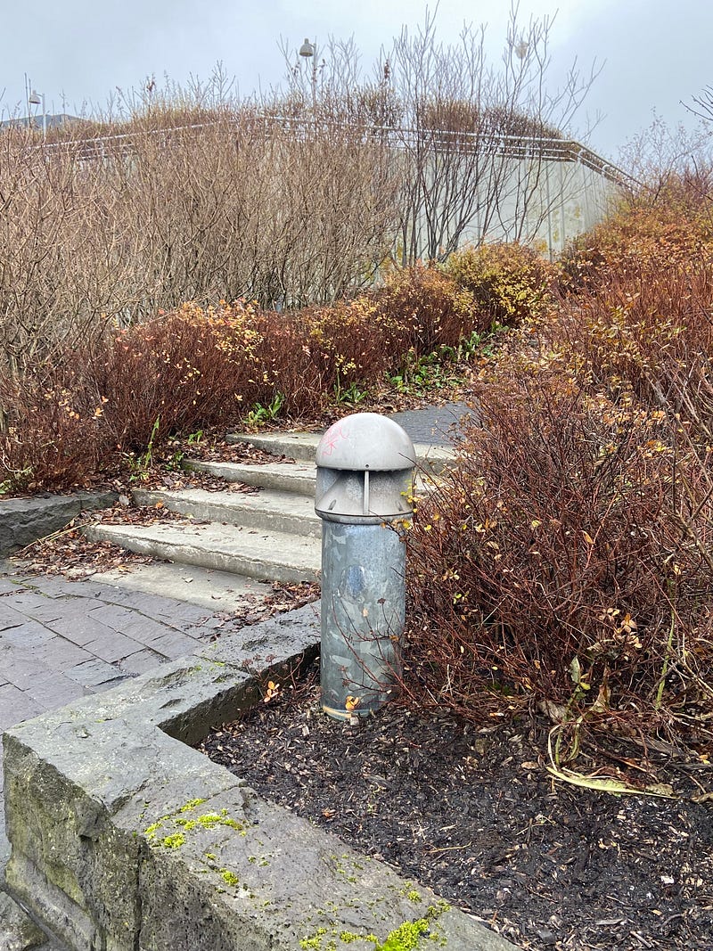 A streetlight in Reykjavík, humorously misplaced