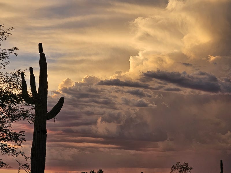 Arizona desert storm skies captured from my backyard