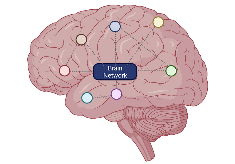 Brain Connectome Representation