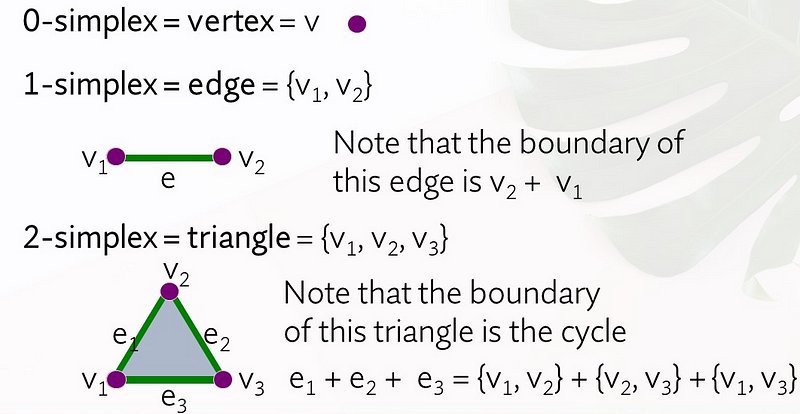 Elements of a Simplicial Complex