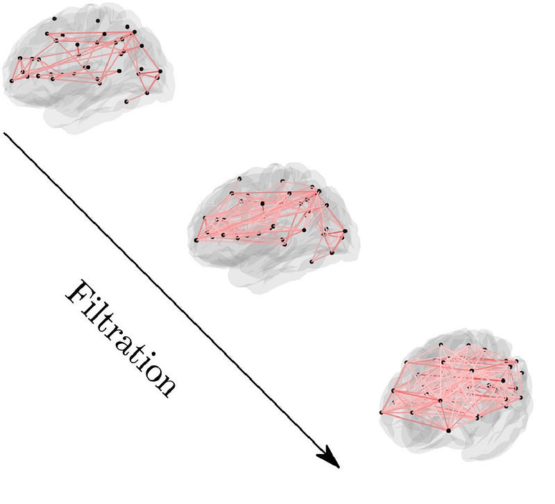 Example of Filtration in a Brain Network