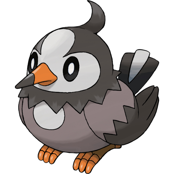 Starly, the introductory bird Pokémon