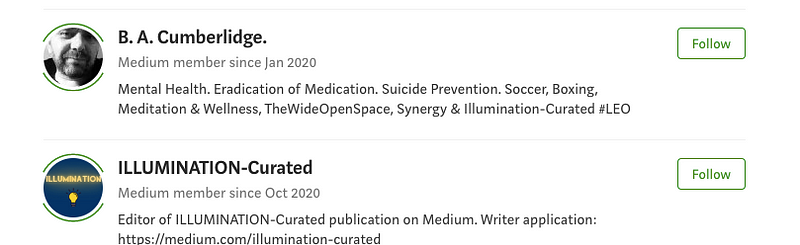 Author's screenshot showing "Illumination-Curated" in search results