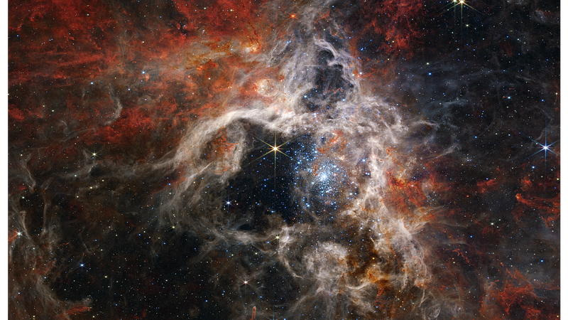 A breathtaking view of the Tarantula Nebula