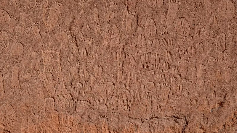 Ancient rock carvings depicting animal tracks in Namibia