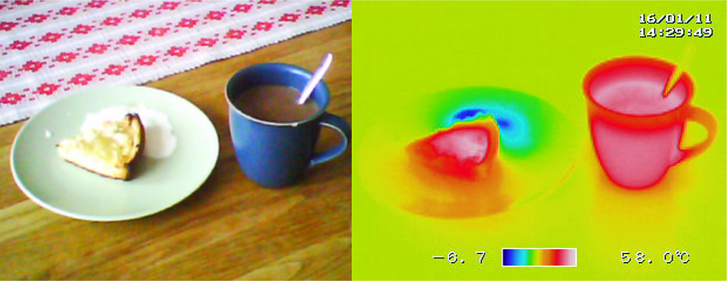 Visible and thermal infrared spectrum comparison