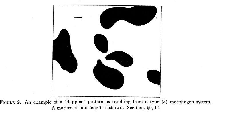 Turing's calculations showing natural patterns