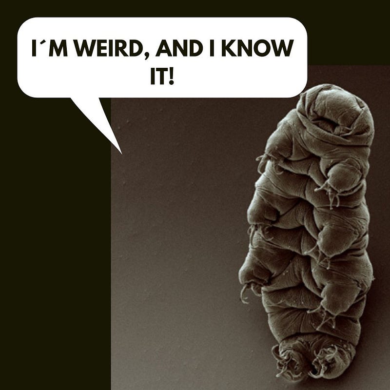 Tardigrades, the microscopic champions of survival