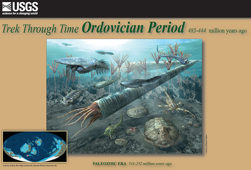 Diorama of Ordovician marine life