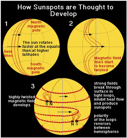 Layering of magnetic fields in the Sun