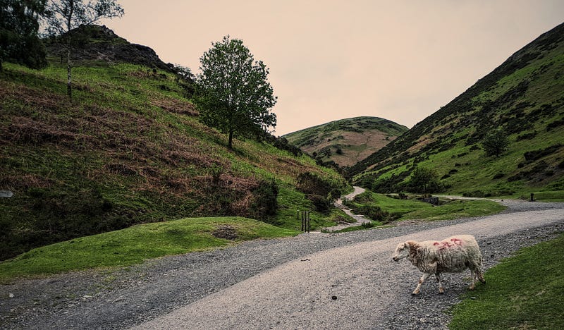 Scenic view of Shropshire hills