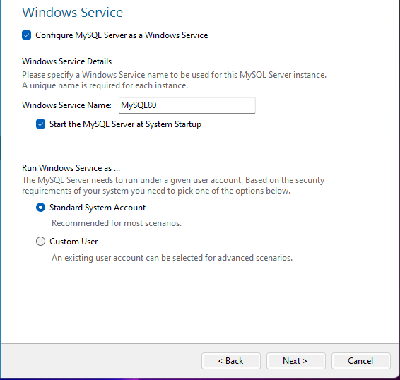 Windows Service Settings