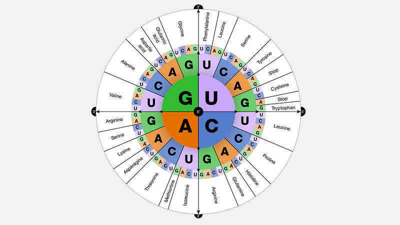 DNA structure highlighting the connection to God.