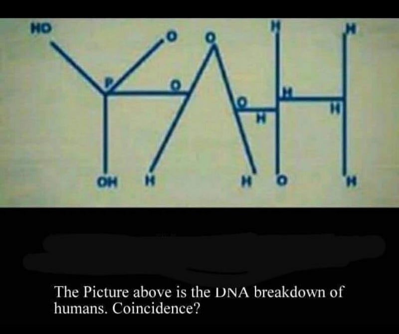 Representation of genetic sequences.