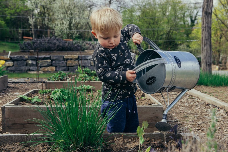 Soil as a source of health benefits