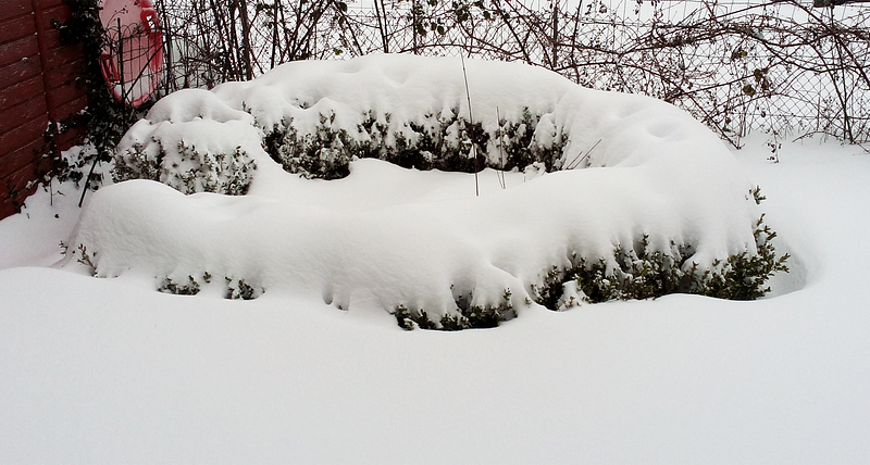 Snow-covered landscape in Germany after a heavy snowfall