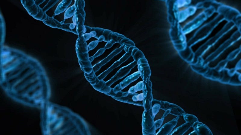 Diagram illustrating the DNA double helix structure