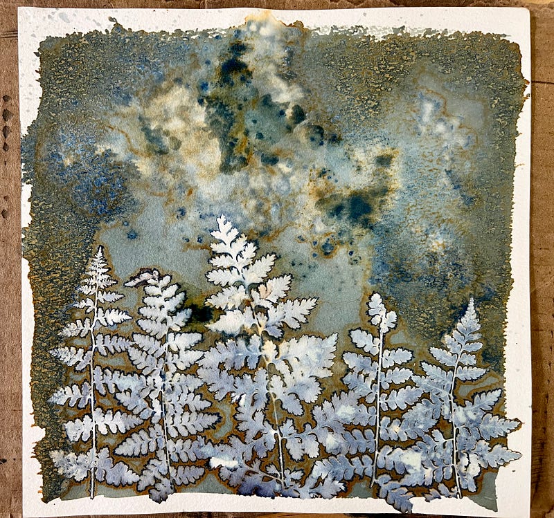 Botanical cyanotype illustration