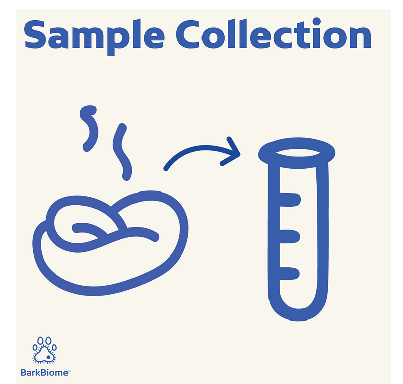 Collecting a stool sample for microbiome analysis