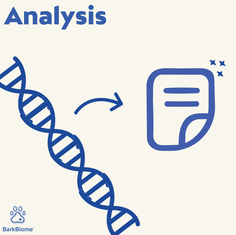 Analyzing sequences against reference libraries