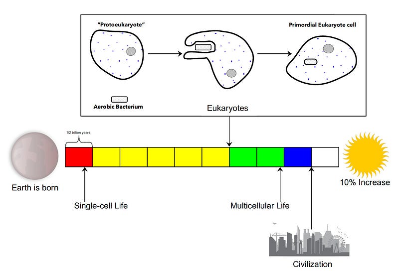 The Sun's impact on life development