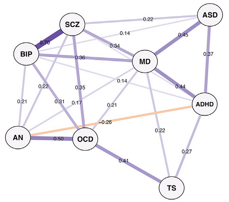 Network map of psychiatric disorders