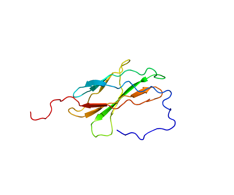 DCC gene's role in psychiatric disorders