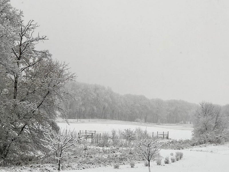 Joyful winter activities in a snowy landscape